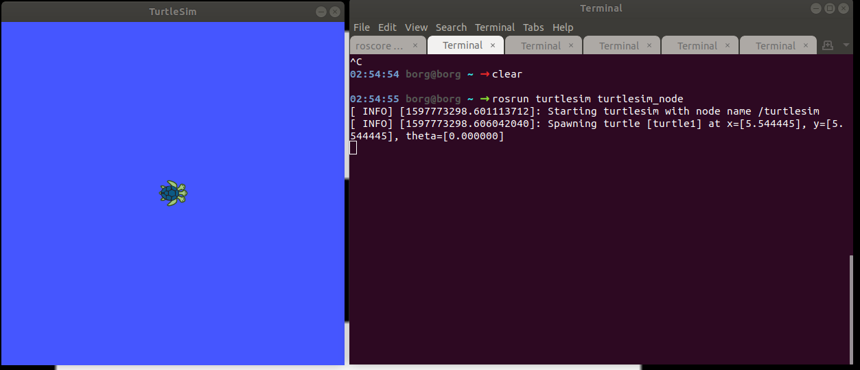 turtlesim_2
